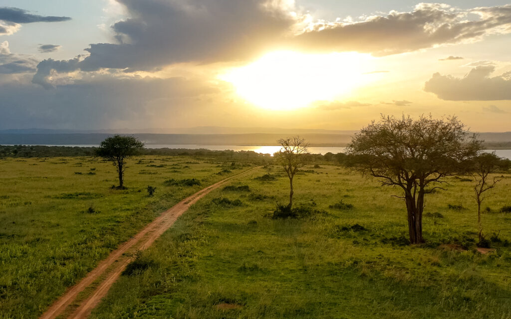 beautiful sunset in a national park in uganda, and aerial view fo the trails in the national park