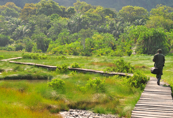 nature walk trail in lake mburo national park