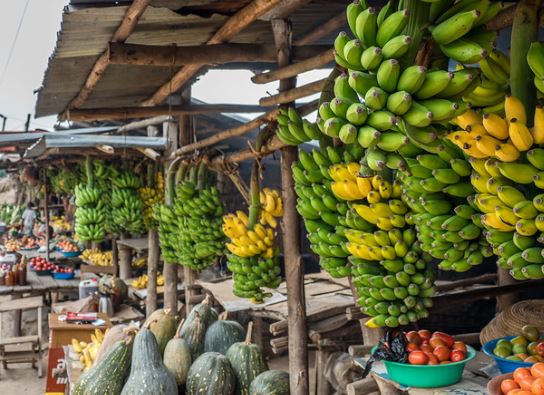 equator local tropical fruit markets