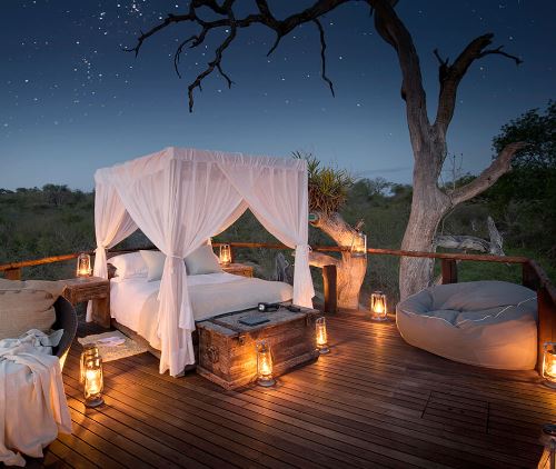 safari romance under the starfilled sky.