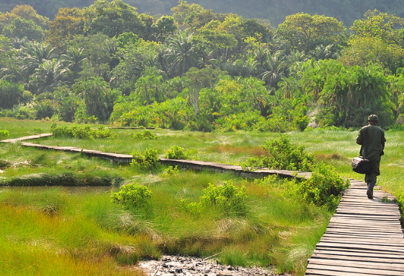 nature walking tours in semliki national park.