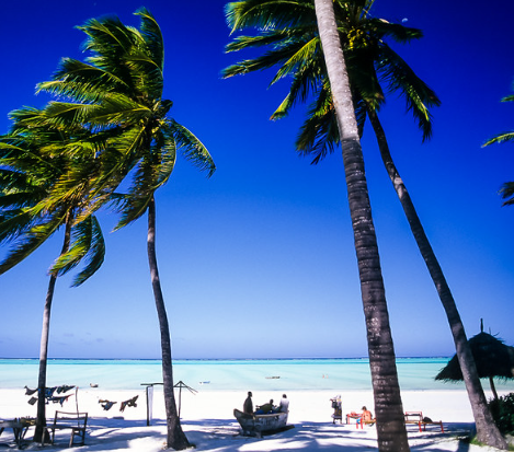 The ocean at the cost paints zanzibar beaches blue